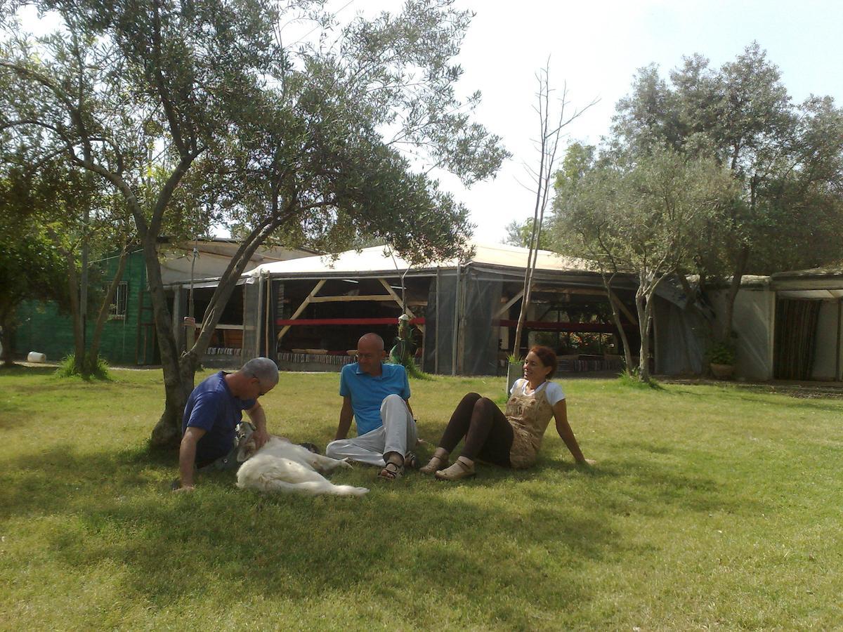Kfar Rut Peace Tent 빌라 객실 사진