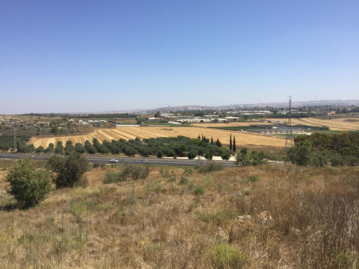 Kfar Rut Peace Tent 빌라 외부 사진