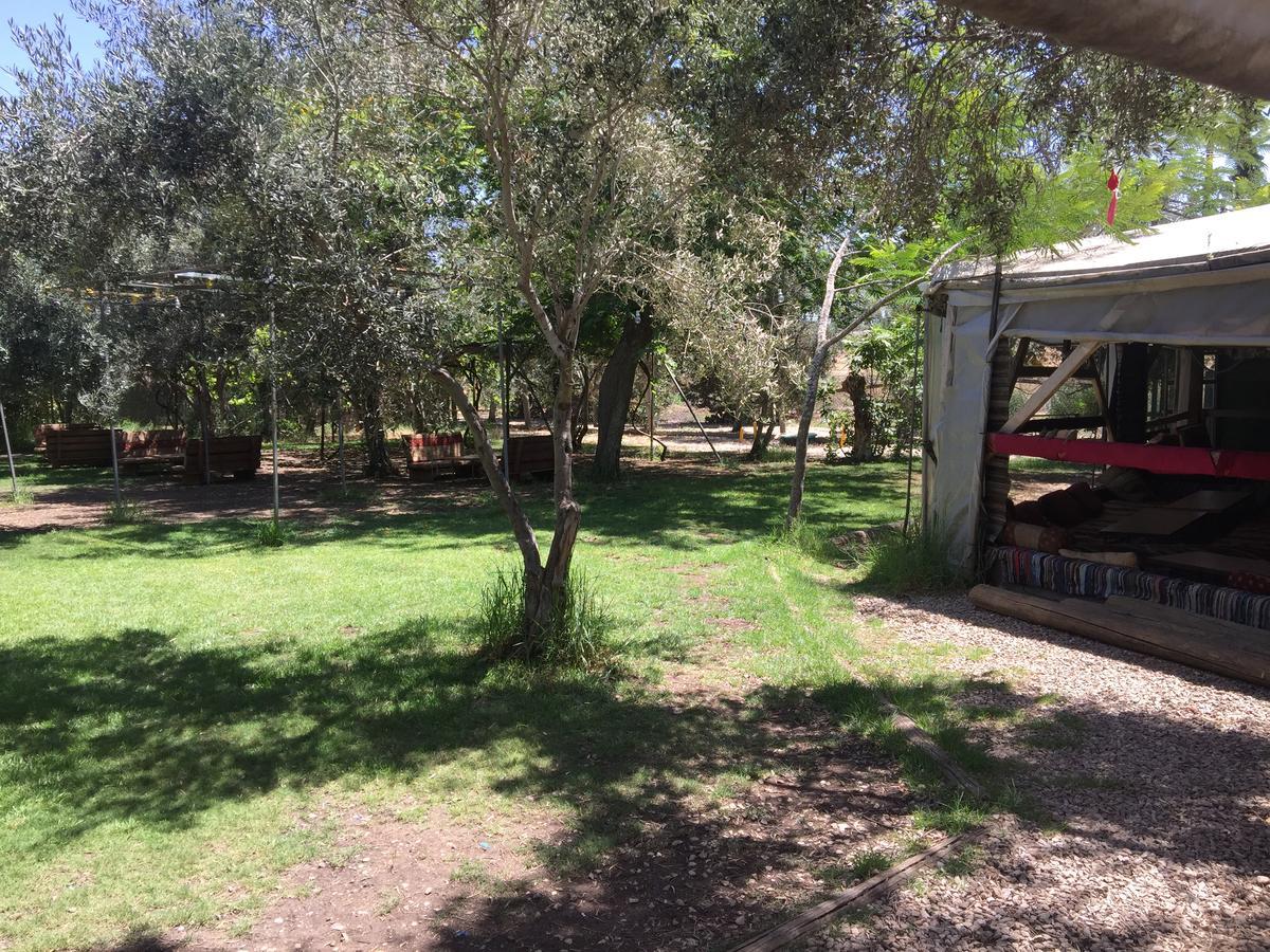 Kfar Rut Peace Tent 빌라 외부 사진