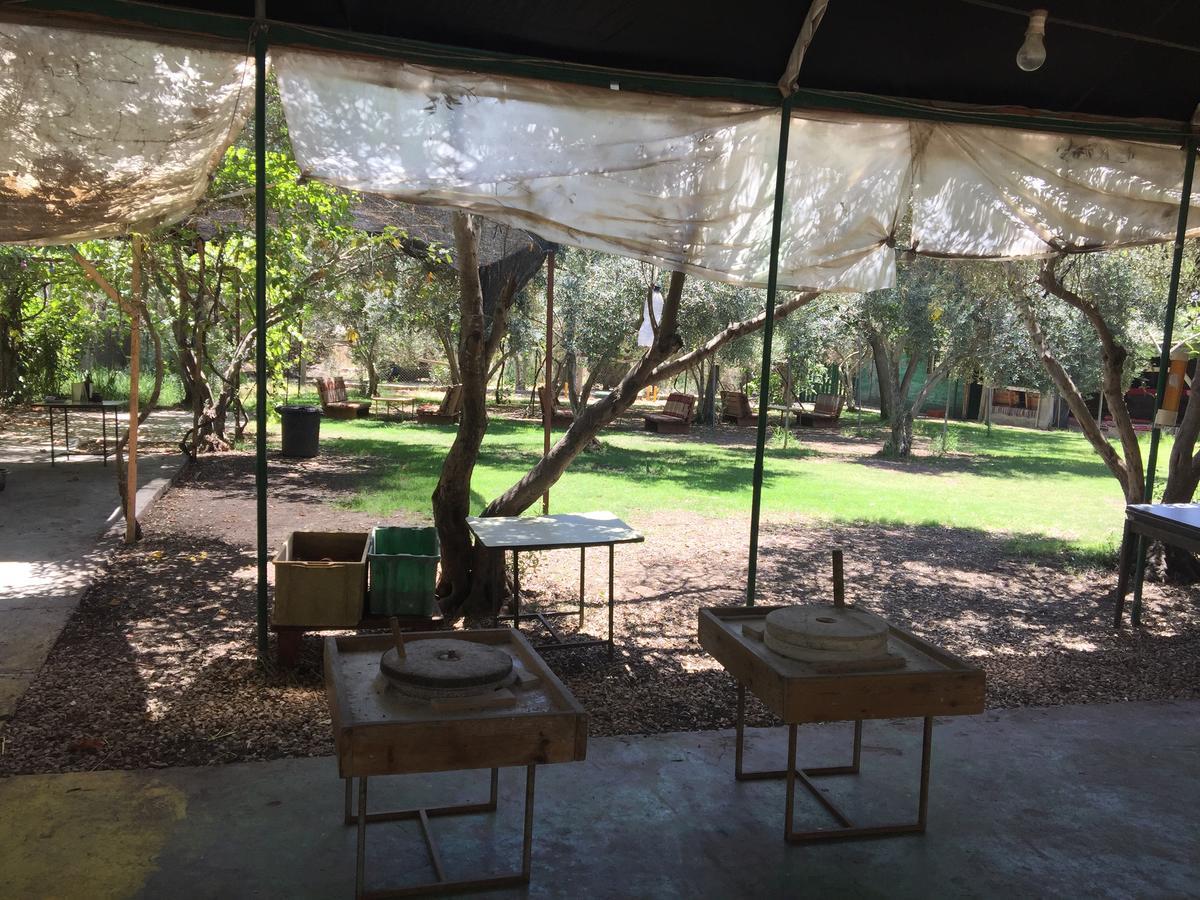 Kfar Rut Peace Tent 빌라 외부 사진