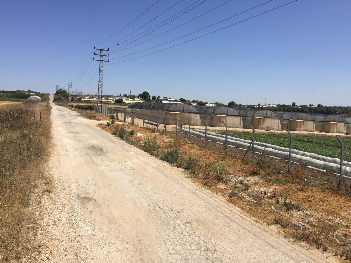 Kfar Rut Peace Tent 빌라 외부 사진